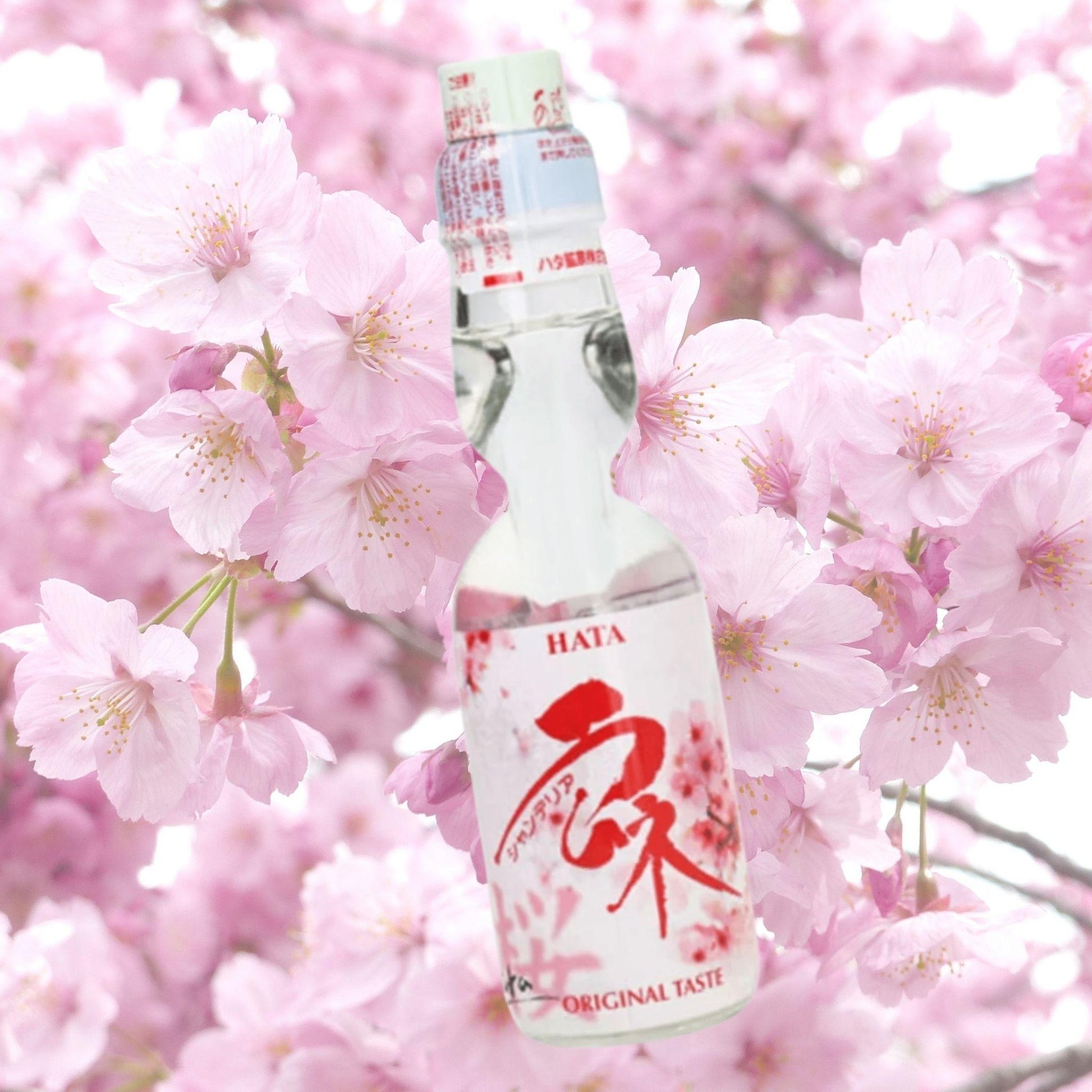 Hata_Kosen_Ramune_Sakura_Design